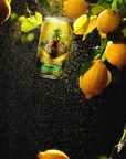 Coastalo Lemonade 4 pack